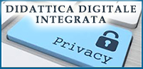 privacy ddi