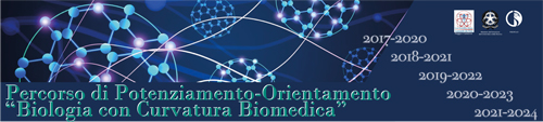 Banner curvatura biomedica